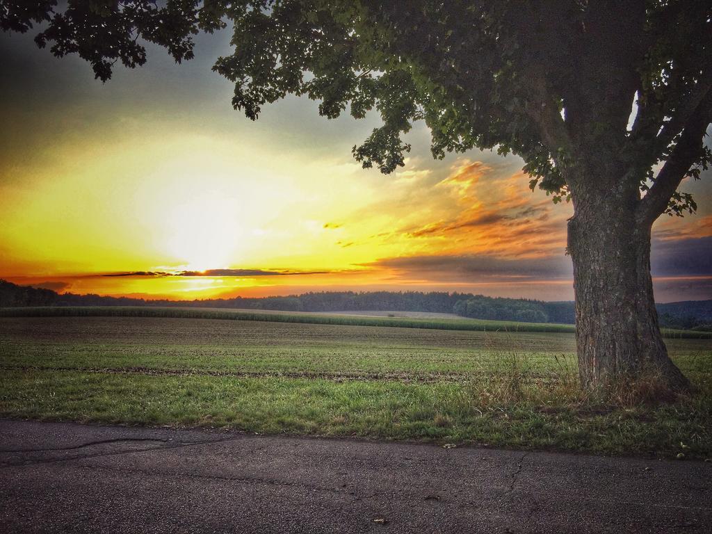 Schenks Landgasthof